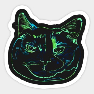 Torti Cat Sticker